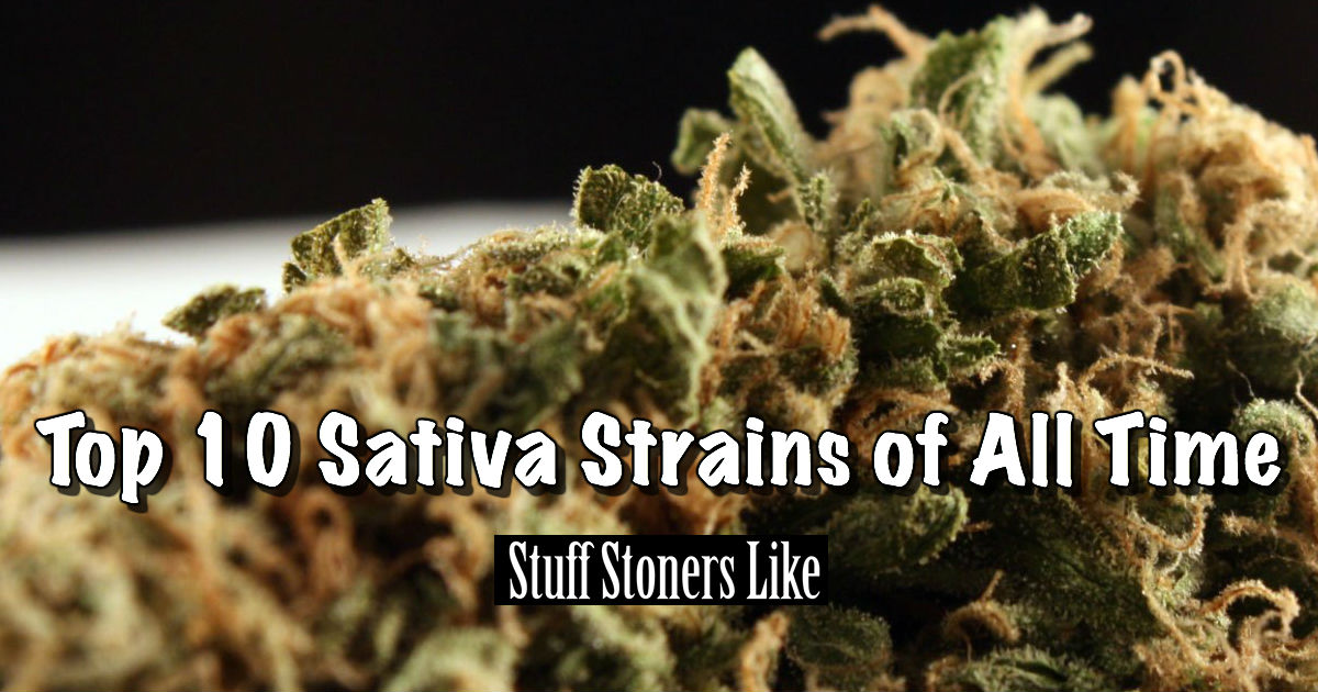 list of cannabis sativa strains